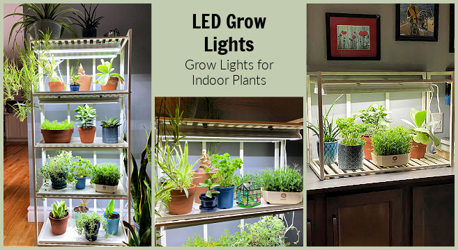 The Ultimate Guide to Choosing the Best Grow Light for Indoor Plants